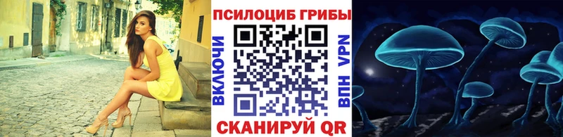 купить наркоту  Сухиничи  Псилоцибиновые грибы мухоморы 
