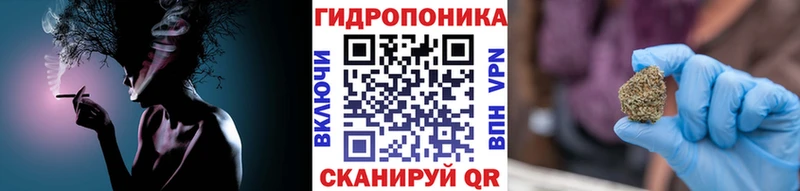 купить наркотики сайты Сухиничи Канабис OG Kush